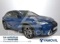 2021 Lexus UX250