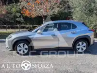 2021 Lexus UX250