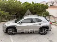2021 Lexus UX250