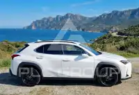 2021 Lexus UX250