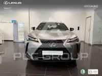 2021 Lexus UX250
