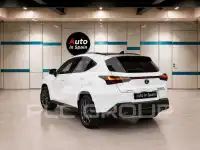 2021 Lexus UX250