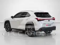 2021 Lexus UX250