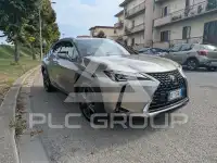 2021 Lexus UX250
