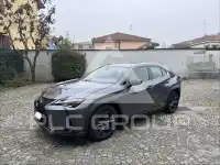 2021 Lexus UX250
