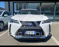 2021 Lexus UX250