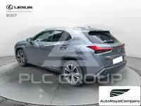 2021 Lexus UX250