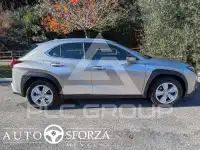 2021 Lexus UX250