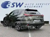 2021 Lexus UX250