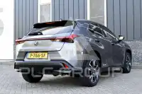 2021 Lexus UX250