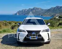 2021 Lexus UX250