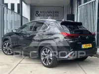 2021 Lexus UX250