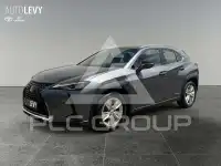 2021 Lexus UX250