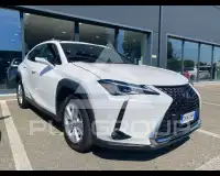 2021 Lexus UX250