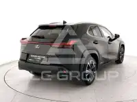 2021 Lexus UX250