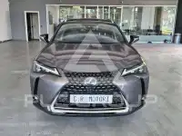 2021 Lexus UX250