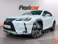 2021 Lexus UX250