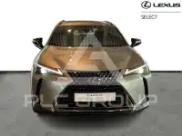 2021 Lexus UX250