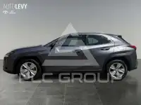 2021 Lexus UX250