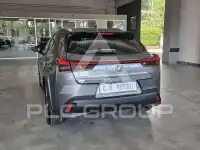 2021 Lexus UX250