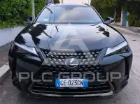 2021 Lexus UX250