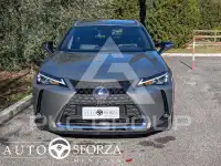 2021 Lexus UX250