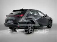 2021 Lexus UX250
