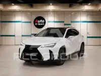2021 Lexus UX250
