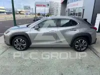 2021 Lexus UX250