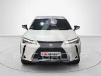 2021 Lexus UX250