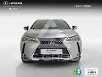 2021 Lexus UX250