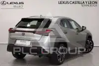 2021 Lexus UX250