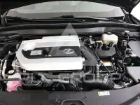 2021 Lexus UX250