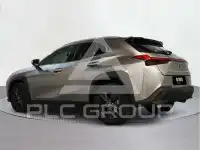 2021 Lexus UX250