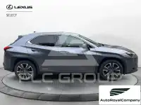 2021 Lexus UX250