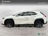 2021 Lexus UX250