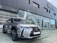 2021 Lexus UX250