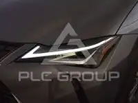 2021 Lexus UX250
