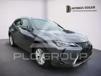 2021 Lexus UX250