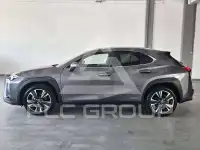 2021 Lexus UX250