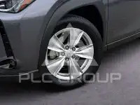 2021 Lexus UX250