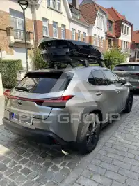 2021 Lexus UX250