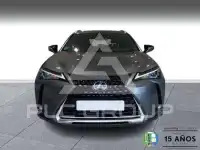 2021 Lexus UX250