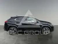 2021 Lexus UX250