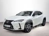 2021 Lexus UX250