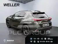 2021 Lexus UX250