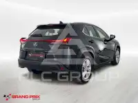 2021 Lexus UX250