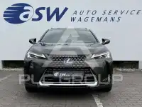 2021 Lexus UX250