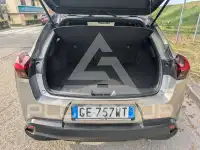 2021 Lexus UX250