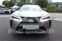 2021 Lexus UX250